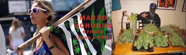 индика Баксан