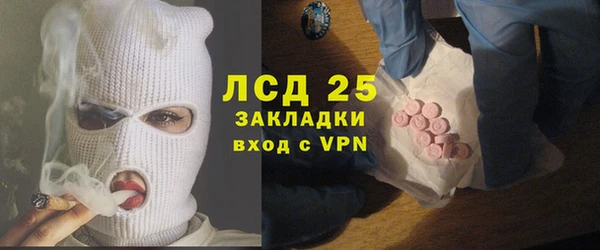 индика Баксан