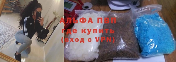 индика Баксан