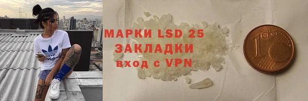 индика Баксан