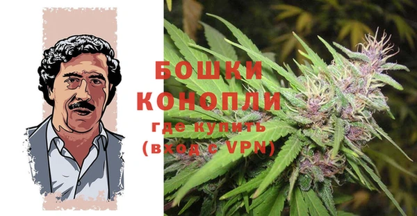 индика Баксан