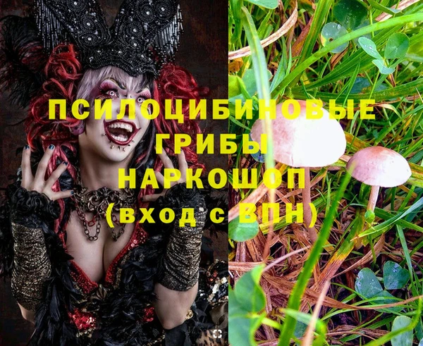 МДПВ Балахна